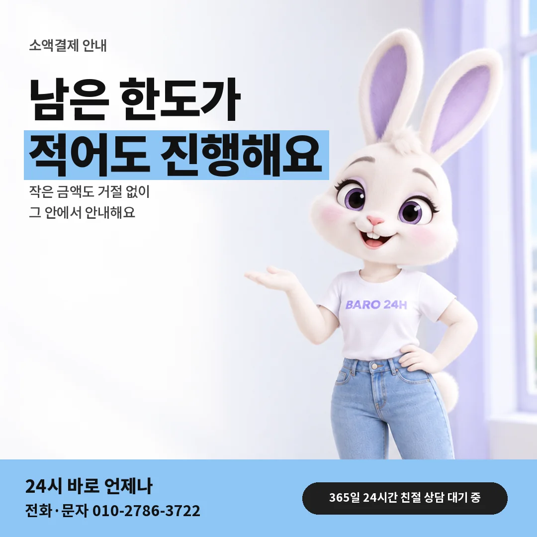 휴대폰을 보며 웃는 BARO 24H 티셔츠를 입은 3D 토끼 캐릭터 옆에 「소액결제 안내」 제목을 얹은 안내 카드