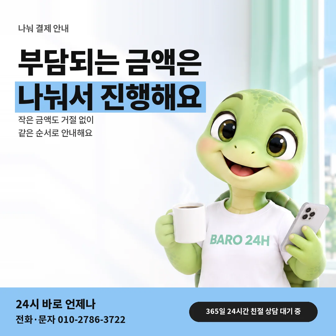 BARO 24H 티셔츠를 입은 3D 거북이 캐릭터 옆에 「나눠 결제하는 방법」 제목을 얹은 안내 카드